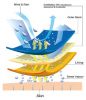 vai-trang-phu-ptfe-va-tpu-nhieu-lop-8 - ảnh nhỏ  1